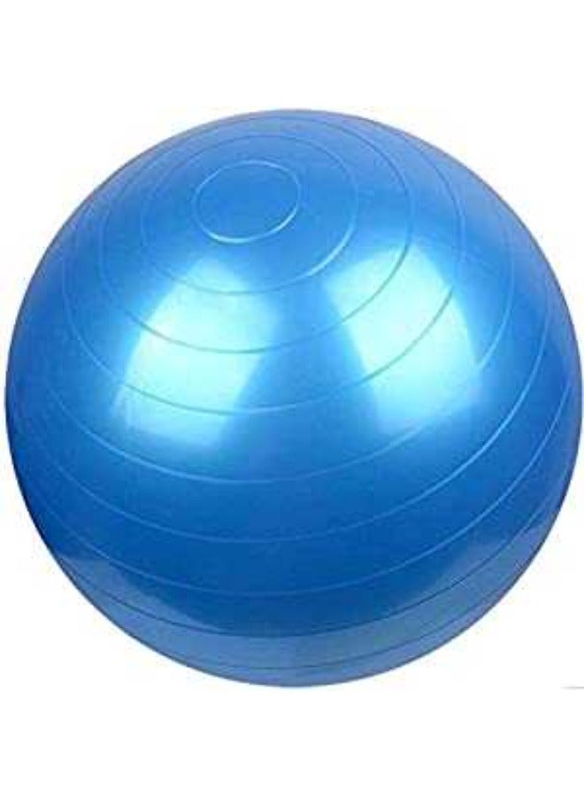 Gym Ball Yoga Exercise Fitness Anti-Burst Stability Ball 65 cm for Home Workout, Pilates, Core Strength, Balance & Flexibility - Blue