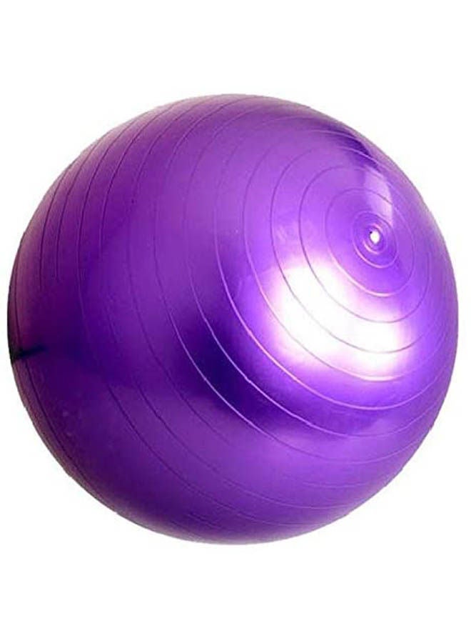 65 Cm Exercise Fitness Aerobic Ball For Gym 65cm