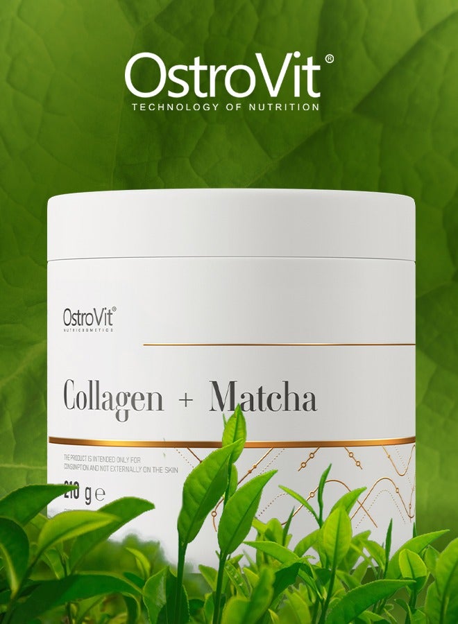 Collagen Matcha 210g Unflavour – Supports Skin, Joint Health & Antioxidant Protection – Collagen Peptides & Matcha Green Tea