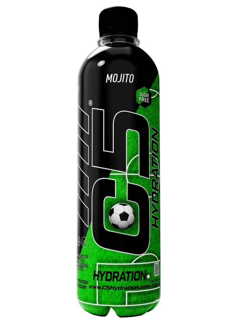 C5 HYDRATION Mojito Electrolytes & Vitamin Water- Zero Sugar, 20 Calorie BCAA for Recovery -VIT B ENERGY, VIT C & E ANTIOXIDANT, VIT D3 for IMMUNITY - Refreshing Ramadan Drink Pack of 12