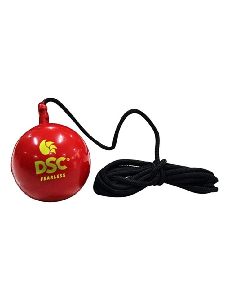 Hanging Synthetic Cricket Ball | Rubber | Suitable for Practice Game | Solid inner core | Weatherproof | Training | Lightweight