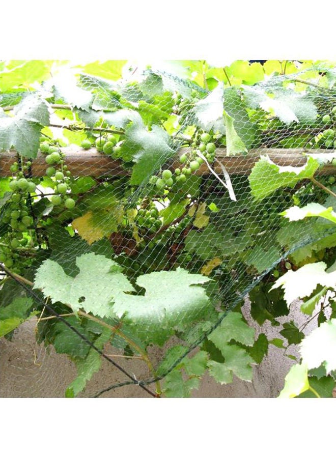 Anti Bird Tree Net Green 2x4meter