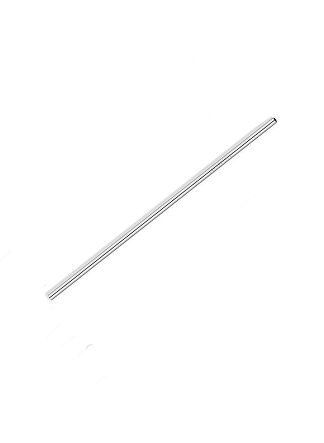 Stainless Steel Straw Silver