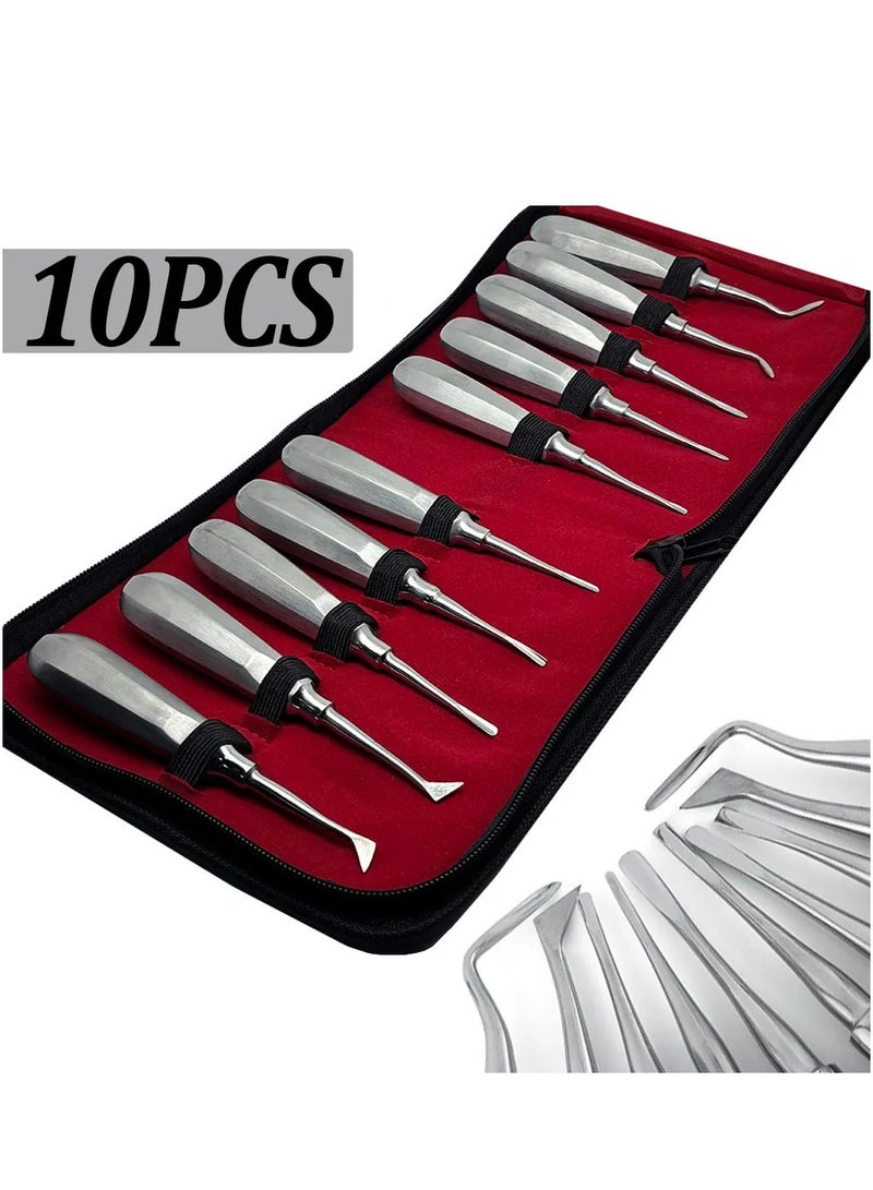 10pcs Dental Elevator Teeth Extraction Tooth Extracting Forceps Stainless Steel Curved Root Lift Elevator Dentist Surgical Tools