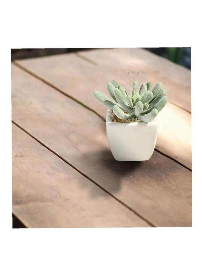 Artificial Succulent Potted Plant Green/White