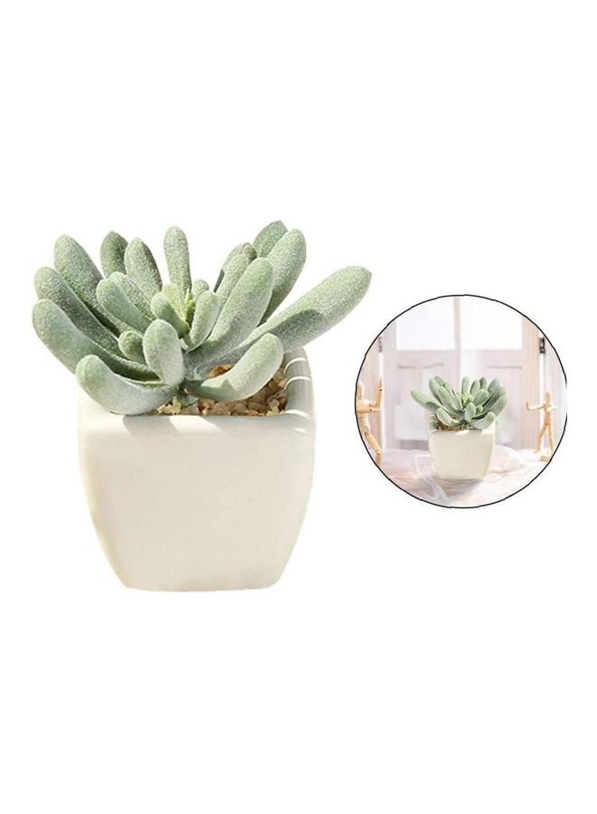 Artificial Succulent Potted Plant Green/White