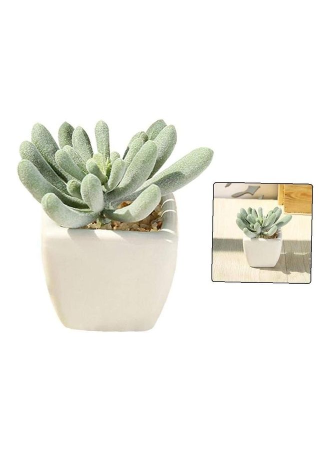 Artificial Succulent Potted Plant Green/White