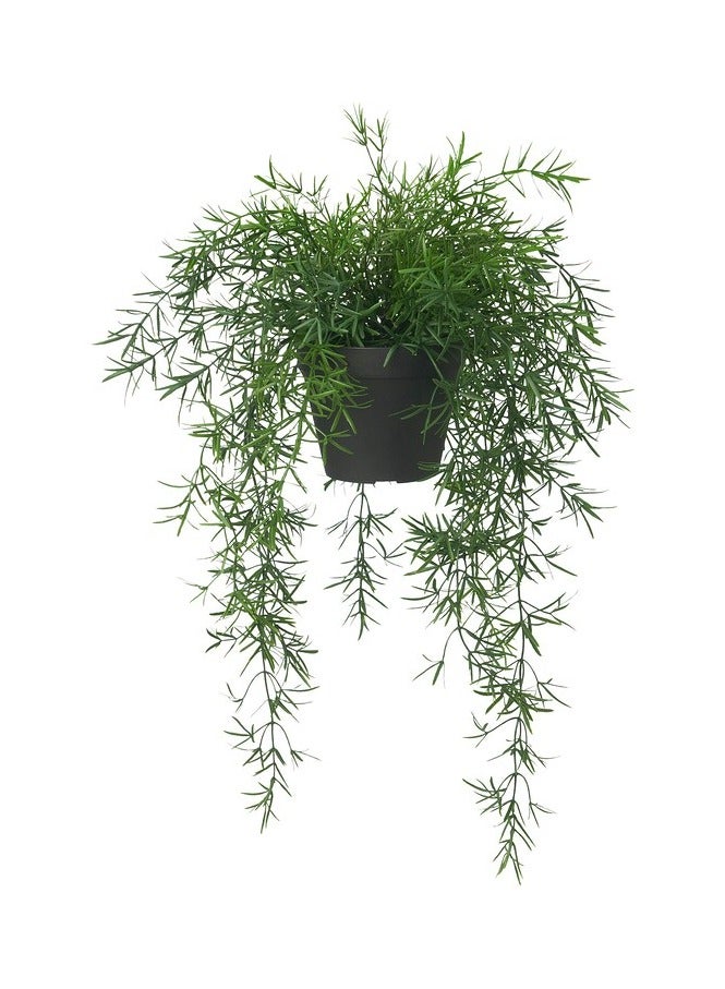 Artificial potted plant, in/outdoor Asparagus/hanging, 12 cm