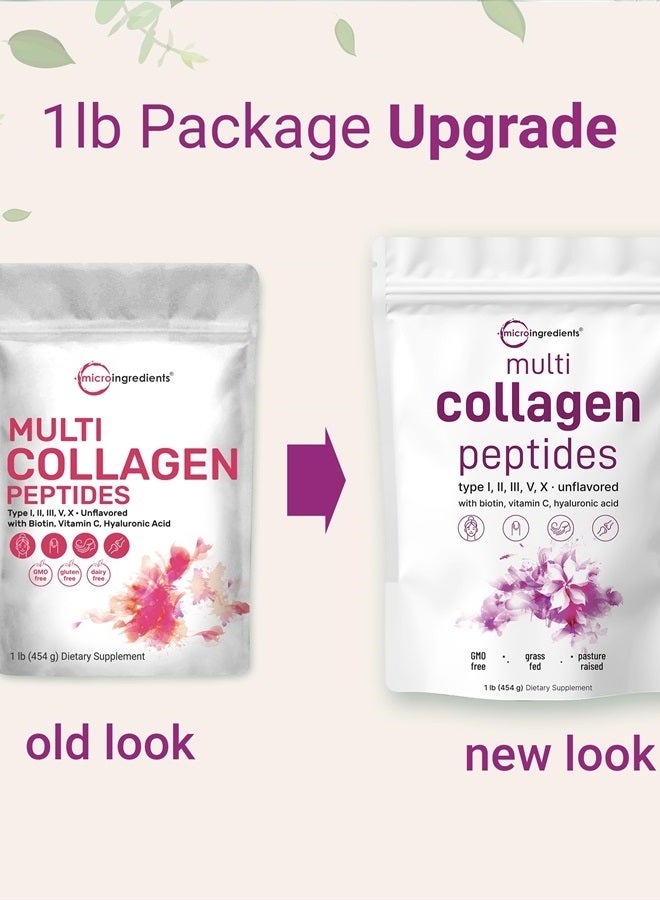 Multi Collagen Peptides Powder Type I,II,III,V,X with Hyaluronic Acid, Biotin & Vitamin C - Unflavored 16 Oz-(454g)