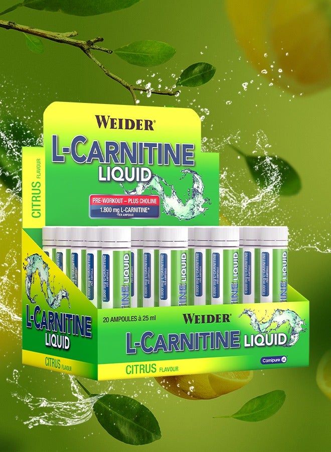 L-Carnitine liquid, Pre workout, Plus choline, 1.800 mg L-carnitine, 20 Ampoules x 25 ml, Citrus flavour