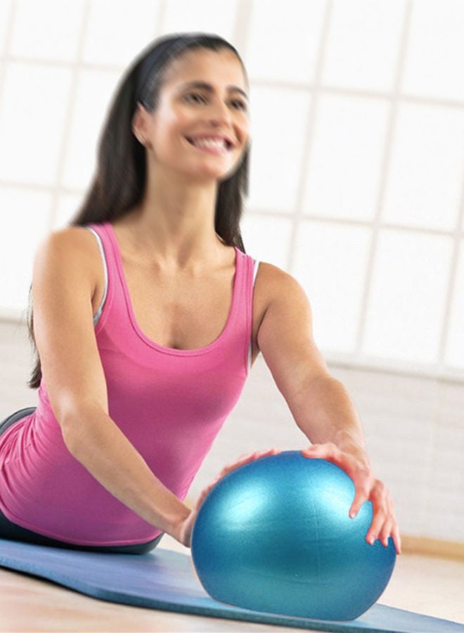 2-Piece Mini Pilates Barre Physical Balls 25cm