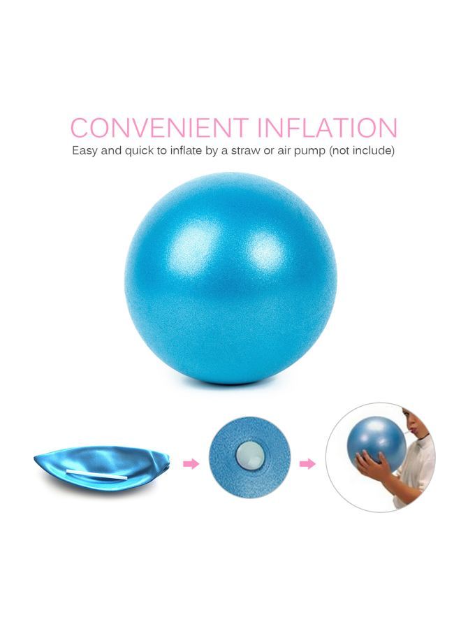 2-Piece Mini Pilates Barre Physical Balls 25cm