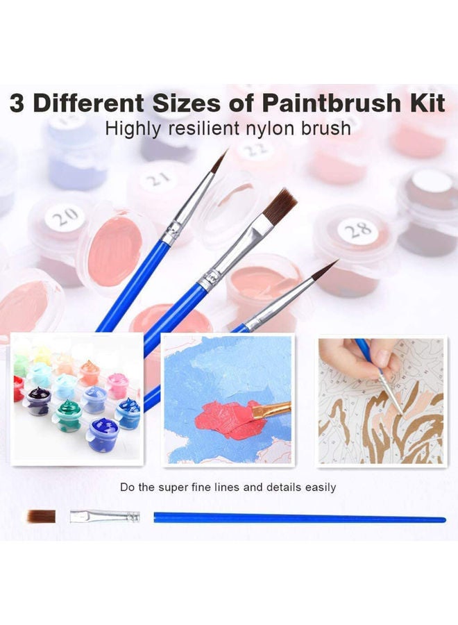 DIY Oil Painting On Canvas Craft Hand Painted Paint By Number Kit Multicolor 16x20inch
