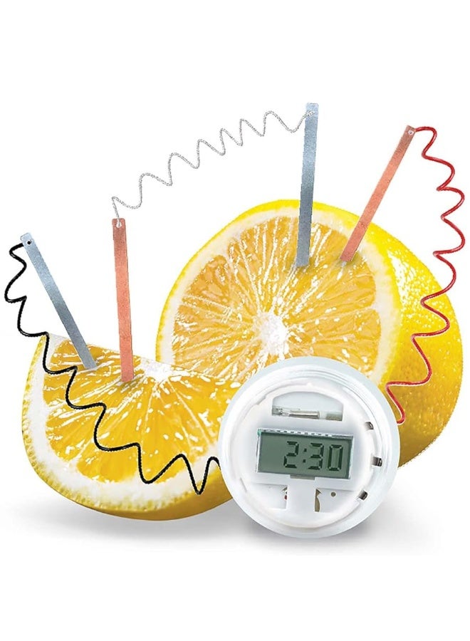 4M Kidzlabs Lemon Powered Clock, Chemical Electrical Science Lab Experiment - STEM Toys Educational Gift for Kids & Teens, Girls & Boys 12 Count (Pack of 1)