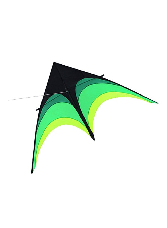 Colorful Delta Outdoor Sport Flying Kite 240grams