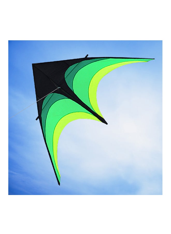 Colorful Delta Outdoor Sport Flying Kite 240grams