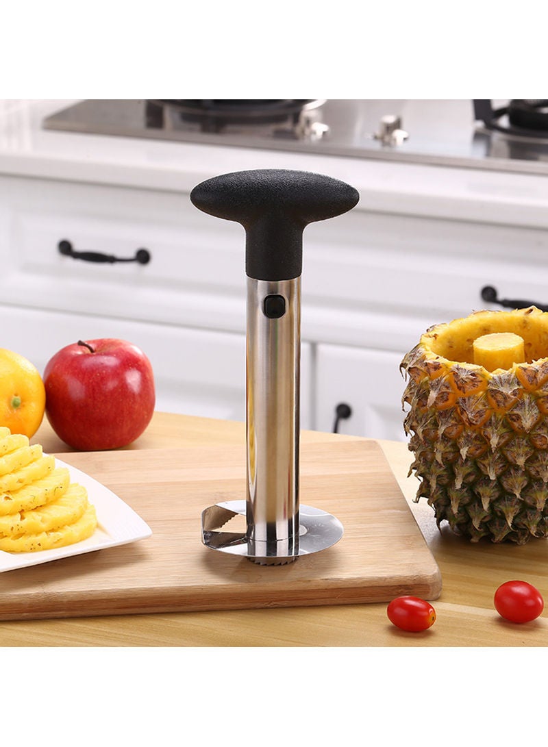 Steel Pineapple Cutter Green 24x10x10cm