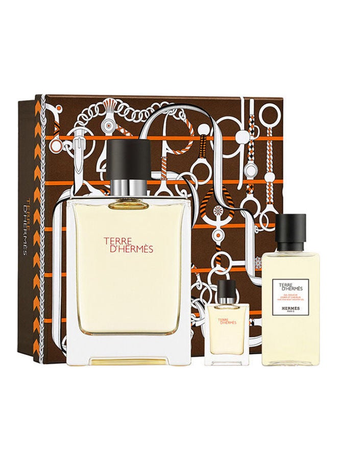 Terre D'Set Edt+  Sg 100ml