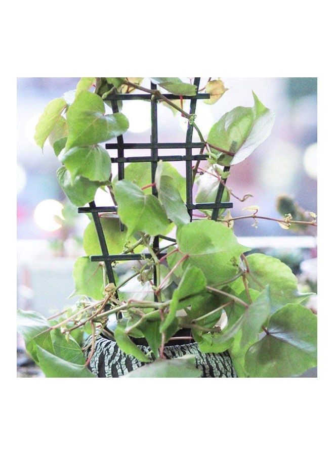 Climbing Plants Support Green 25.00x2.50x15.00cm