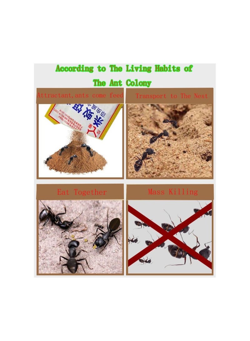 10-Bags Powerful Ant Bait Agent, Special Effect Indoor and Outdoor Low Toxicity and Odorless Bait Powder