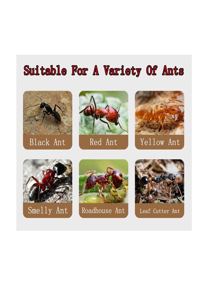 10-Bags Powerful Ant Bait Agent, Special Effect Indoor and Outdoor Low Toxicity and Odorless Bait Powder