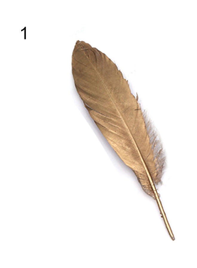 10-Piece Goose Feathers 1#