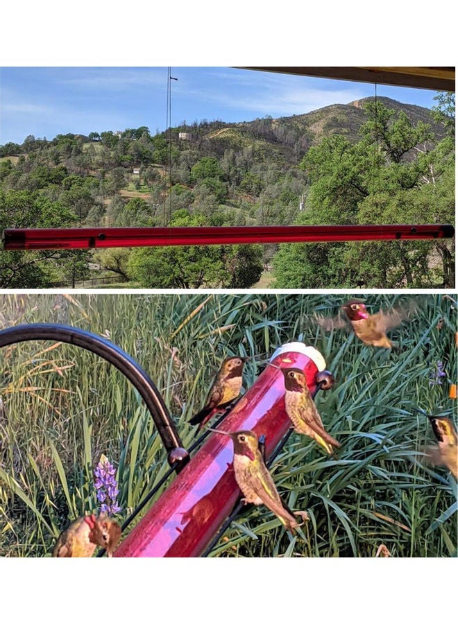 Hummingbird Feeder Red