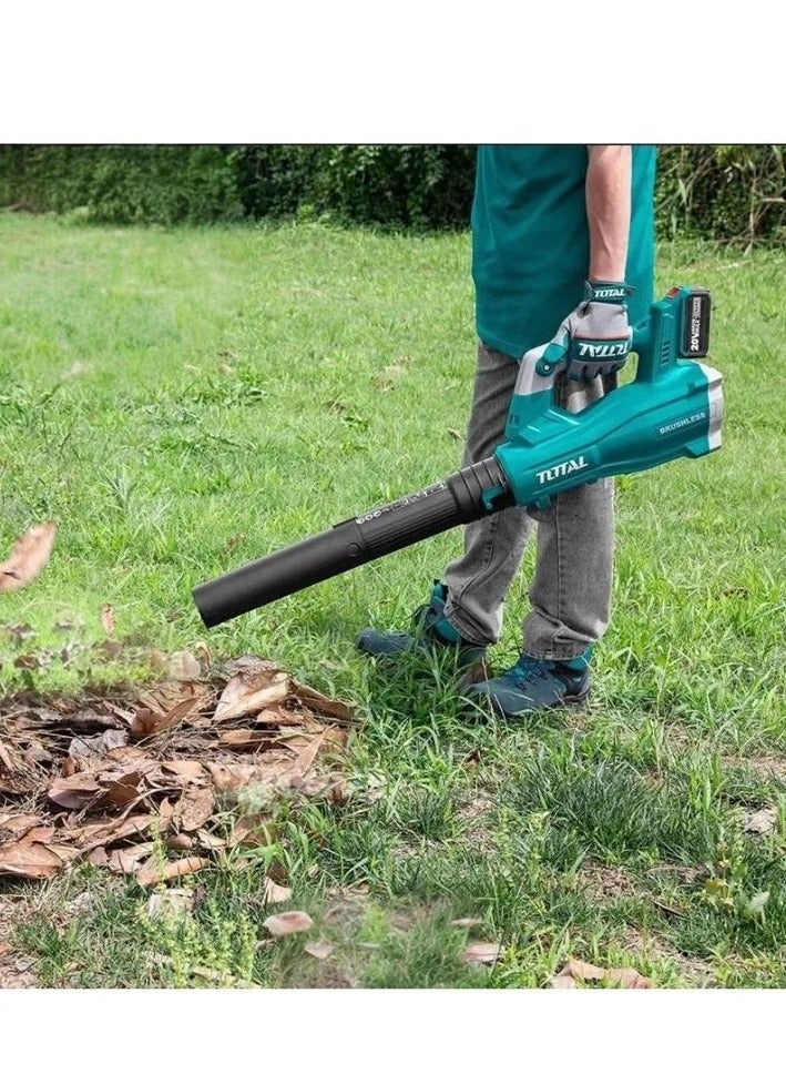 Super Total 20V Lithium-Ion Cordless Leaf Blower - 15000 RPM, 8.5m³/min Air Volume, 115km/h Max Air Speed, Includes 2.0Ah Battery & Charger, Perfect for Home & Outdoor Cleanup TABLI203235