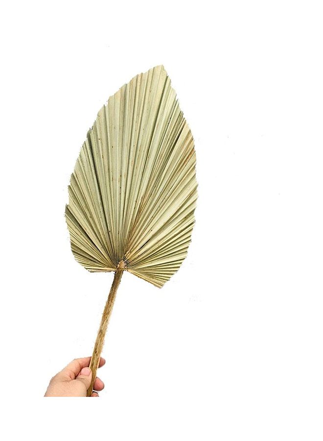 Artificial Dried Palm Tree Leaves Plants Durable DIY Art Wall Hanging Ornament Gold