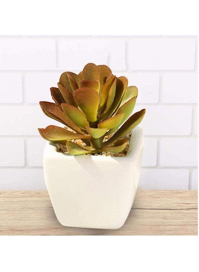 Artificial Plants Indoor Fake Succulents Potted Décor In Small Pots For Home Office Brown 5.5 x 6 8cm