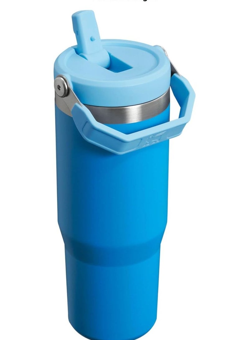 30oz Stanley Vacuum Insulated flask bottle with Lid and Straw for Water, Iced Tea or Coffee, Smoothie and More.