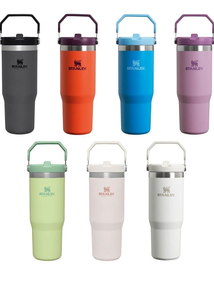 30oz Stanley Vacuum Insulated flask bottle with Lid and Straw for Water, Iced Tea or Coffee, Smoothie and More.