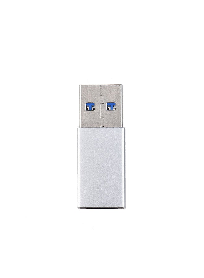 2-In-1 Data Converter Charging Adapter Silver