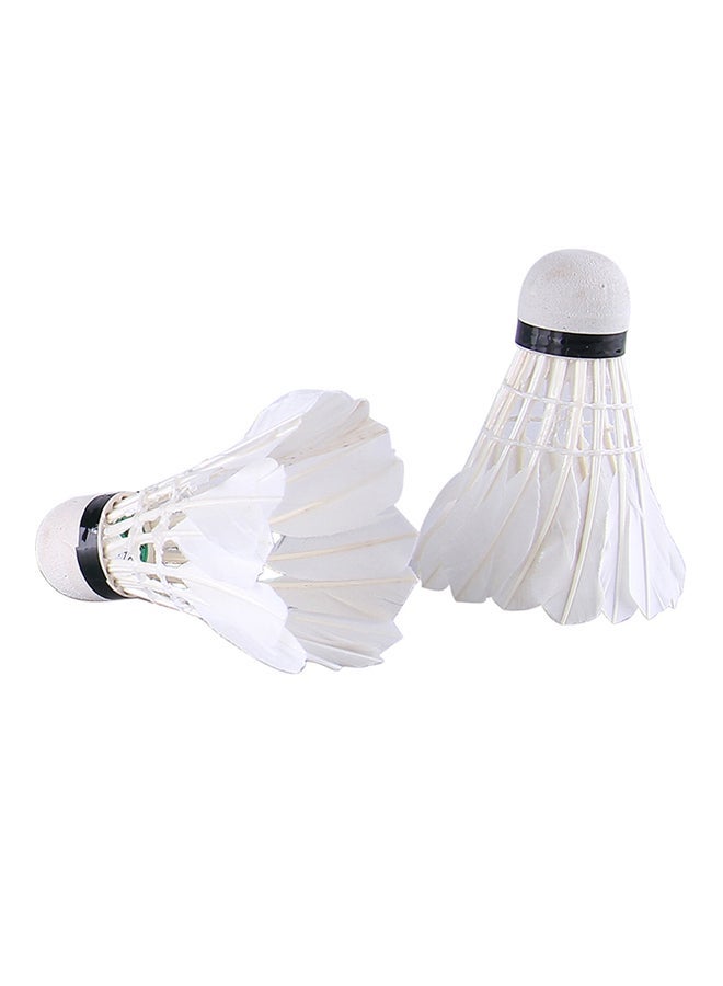 12-Piece M10 Feather Professional Shuttlecocks