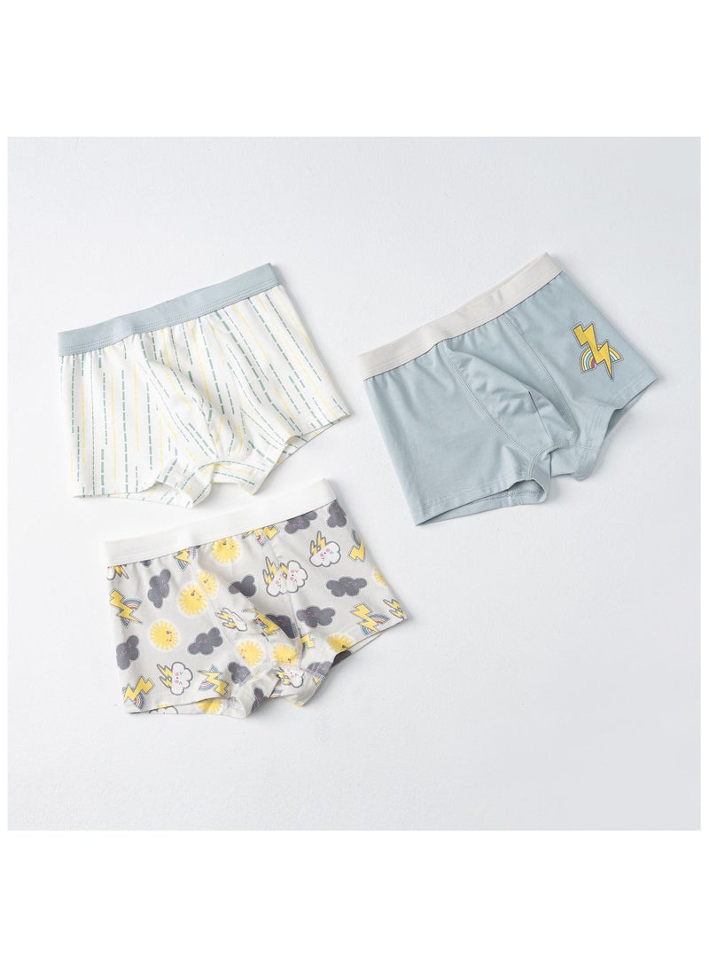 Fashionable Little Boy Printed Boxer Pants Suitable For Ages 3-10