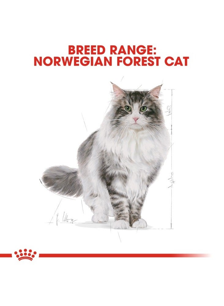 Feline Breed Nutrition Norwegian Forest Cat Adult 2 KG