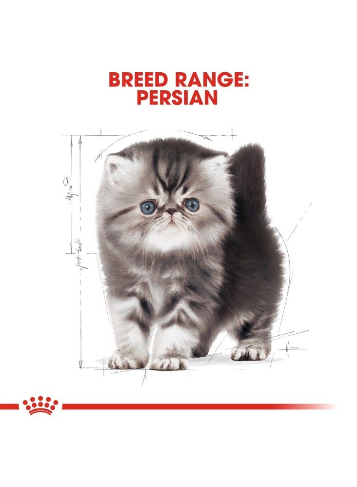 Feline Breed Nutrition Persian Kitten 2 KG