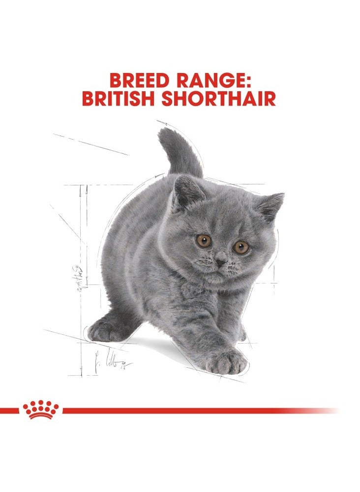 Feline Breed Nutrition British Shorthair Kitten 2 KG