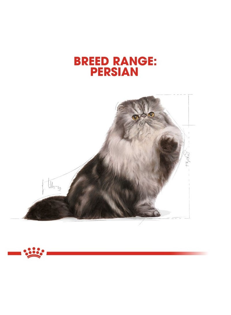 Feline Breed Nutrition Persian Adult 10 KG