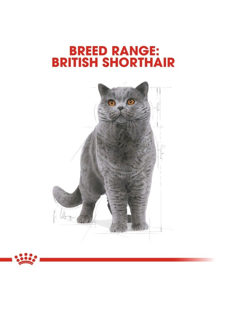 Feline Breed Nutrition British Shorthair Adult 4 KG