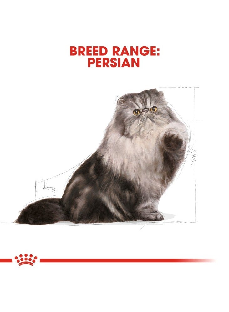 Feline Breed Nutrition Persian Adult 4 KG