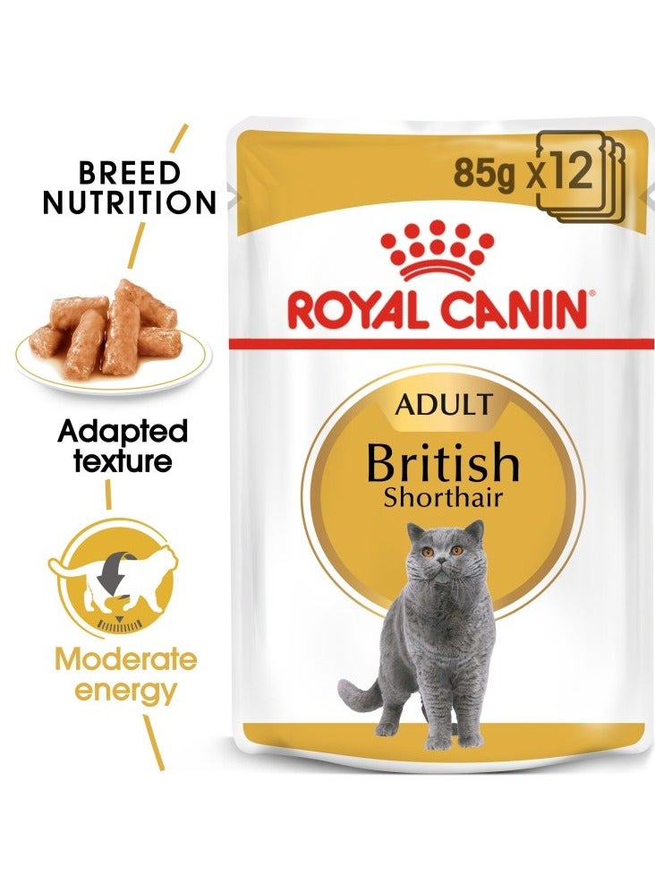 Feline Breed Nutrition British Shorthair WET FOOD - Pouches