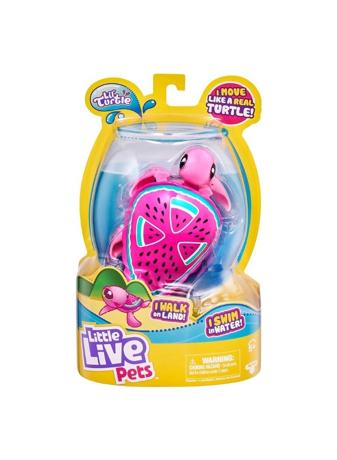 Little Live Pets 26204 Turtle-Styles May Vary