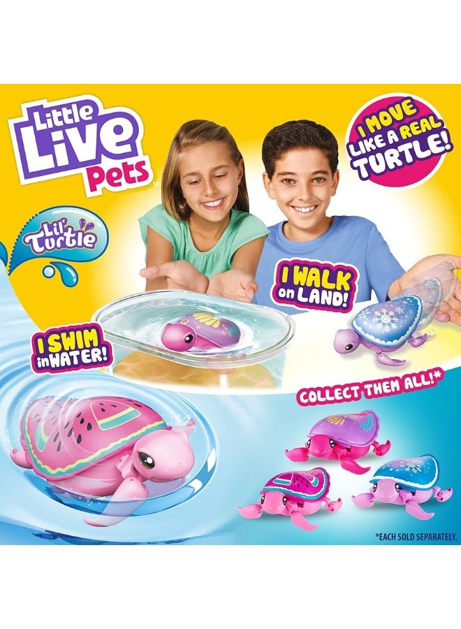 Little Live Pets 26204 Turtle-Styles May Vary