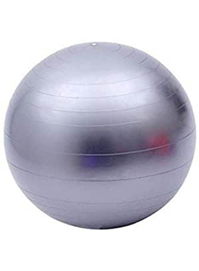 Anti-Burst Ball Fitness Exercise Gym Yoga Swiss 65cm