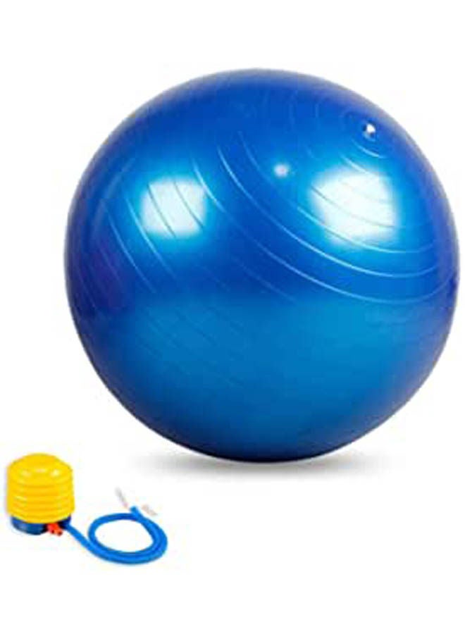 Exercise Pilates Balance Yoga Gym Fitness Ball Aerobic Abdominal 65cm