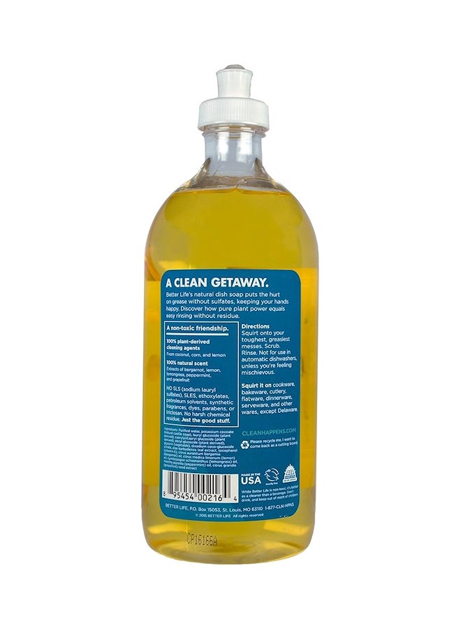 Naturally Grease-Kicking Dish Soap 651ml