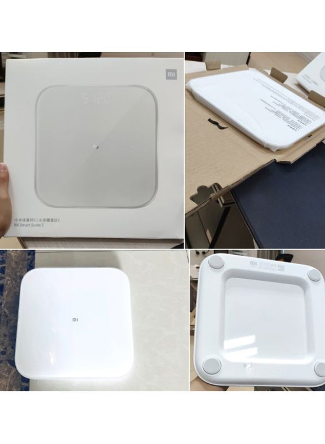 BT 5.0 Body Balance Test Scale