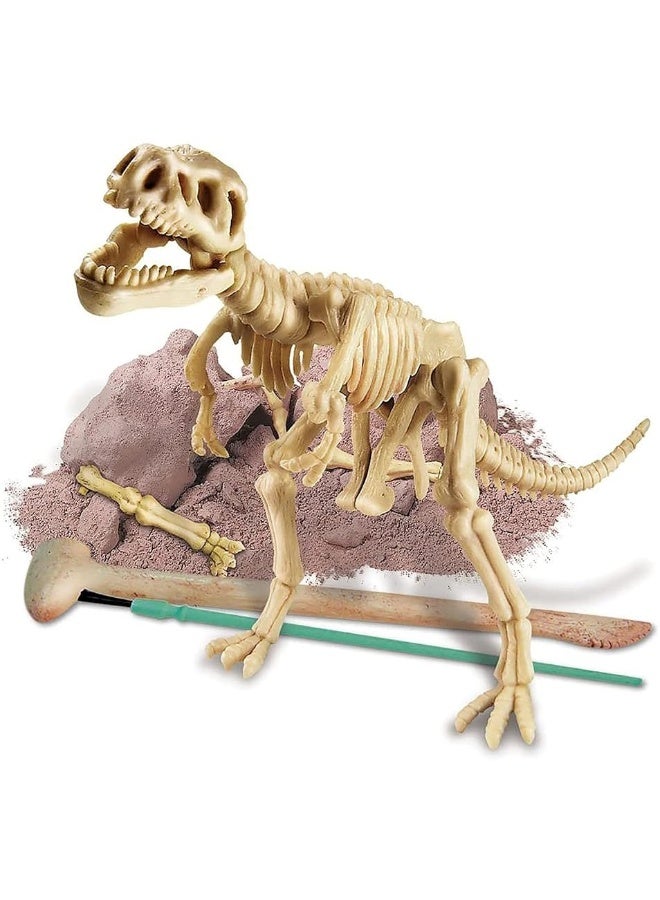 4M KidzLabs Dig A Dino Tyrannosaurus Rex, Paleontology Skeleton Fossil Dinosaur Discovery - STEM Toys Educational Gift for Kids & Teens, Girls & Boys