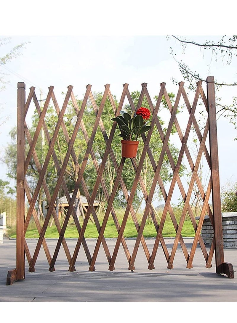 FFD Wooden Fence for Decor and Plant Trellis Frame